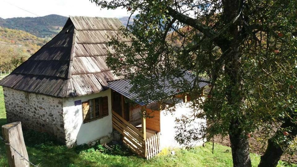 Andrijevica Household Babovic - Old House Miljan'S Valley מראה חיצוני תמונה